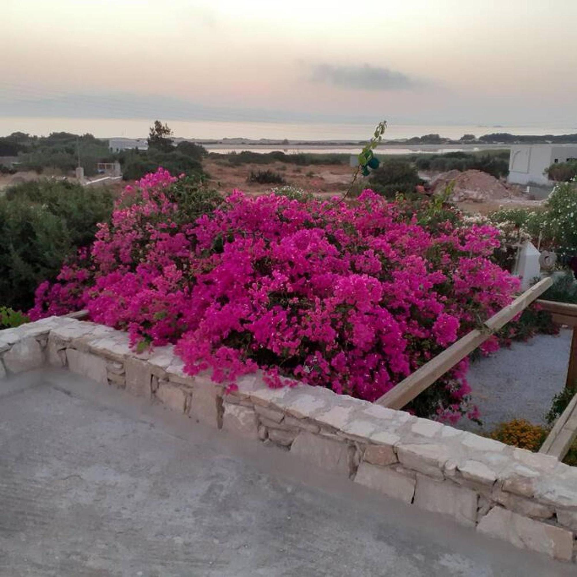 Naxos Alyko Traditional Vacation House "Mitatos" Aliko Beach Exterior photo